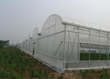 중국 쉬운 농업 곤충 그물세공, 온실을 위한 반대로 우박 그물세공을 설치하십시오 협력 업체