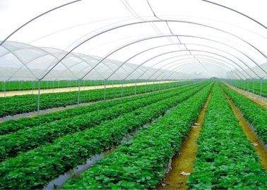 중국 경량 정원 곤충 메시 그물세공, 옥외 모기장 협력 업체