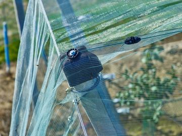중국 온실 종묘장을 위한 100%년 HDPE 4x50m 곤충 메시 그물세공/농업 협력 업체