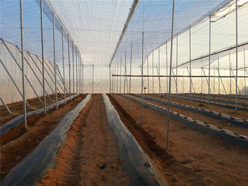 중국 메시 250 미터 곤충 스크린, 100%년 HDPE 온실 곤충 보호 그물세공 협력 업체