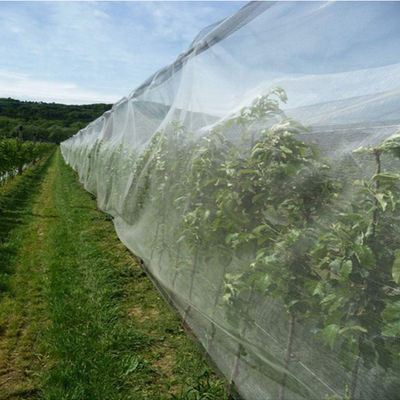 중국 농림부와 가든닝을 위한 반대 우박을 얻는 HDPE UV 반대자 협력 업체