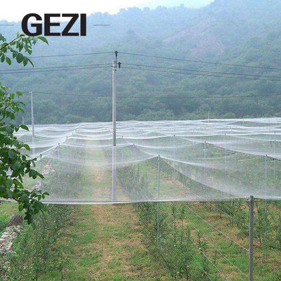 중국 농업인 것을 위한 도매 맞춘 큰 크기 직류 전기로 자극된 온실 터널 온실 협력 업체