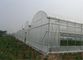 그물세공 250 미터 농업 식물성 온실을 위한 100%년 HDPE 곤충 메시 협력 업체