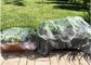 20의 메시 조사 폴리에틸렌 농업 그물세공을 그물로 잡는 정원 곤충 메시 협력 업체