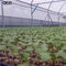 게지 방충망 정원 세망 터널은 야채 열매 식물 10 Ｘ 2.4 Ｍ 야채 말벌방어망을 위한 방충망을 성장시킵니다 협력 업체