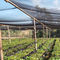 양산 식물 피복 UV 보호 오래가는 양산 스크린  HDPE 외부 양산 선박 천 협력 업체