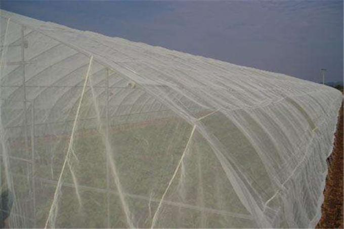 온실 종묘장을 위한 100%년 HDPE 4x50m 곤충 메시 그물세공/농업