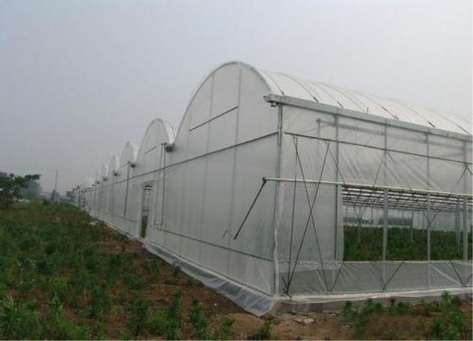 농업 60의 메시 곤충 증거 정원 그물세공 HDPE 소성 물질