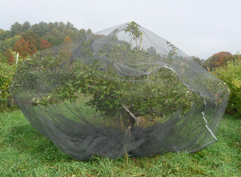 뜨개질을 하는 날실 과일 나무 곤충 스크린 메시 부대 보호 그물세공을 덮기