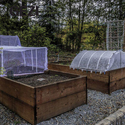 중국 Mosquito insect bird net barrier hunting blind garden net used to protect plants fruits flowers from insects bird food 협력 업체