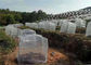 농업 정원 작물 곤충 메시 그물세공 야채 꽃 과일 덮개 곤충 증거 협력 업체
