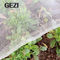 0.3×0.3mm 정원 야채 커버 그물 공장에 대한 0.3×0.3mm 100% 처녀 UV Resisstat 농업 곤충 그물 온실 메쉬 협력 업체