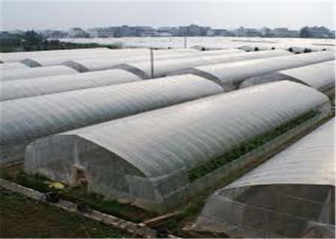 온실 종묘장을 위한 100%년 HDPE 4x50m 곤충 메시 그물세공/농업